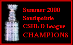 Spiders Summer 2000 
Champs!