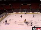 Spiders 
Arena Game Action Web Cam Photo #11